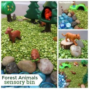 Forest animals sensory bin for kids! Hands-on forest animals sensory box for preschoolers