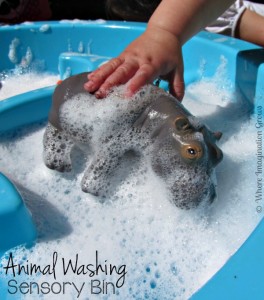 Animal Washing Sensory Bin Play