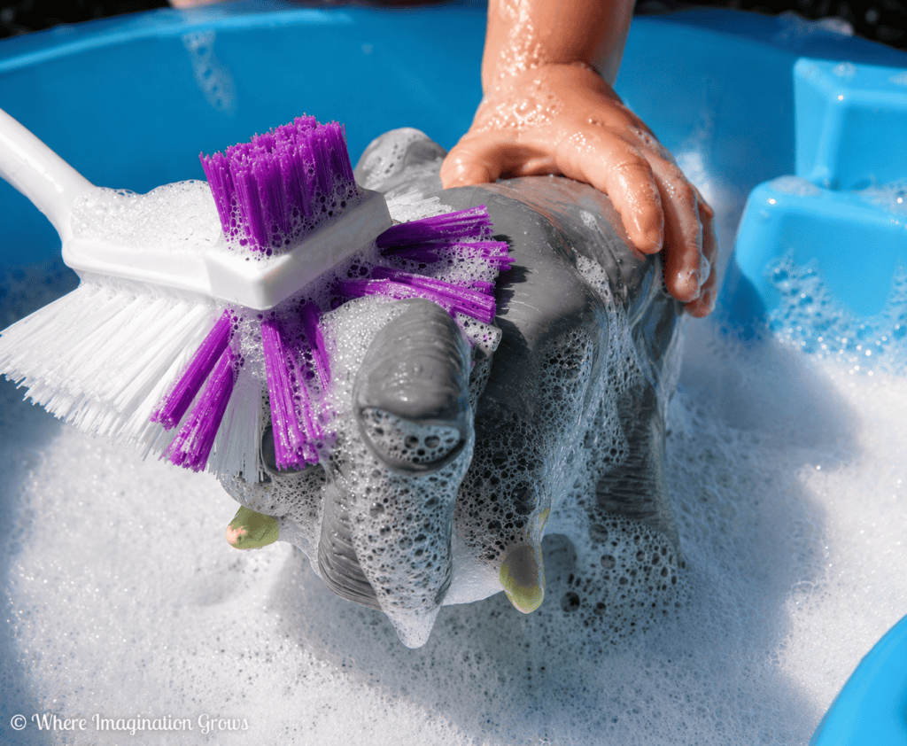 Animal Washing Sensory Play for Toddlers & Preschoolers