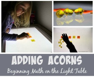 Counting & Adding Acrylic Fall Acorns on the Light Table! Simple beginning math games for preschoolers
