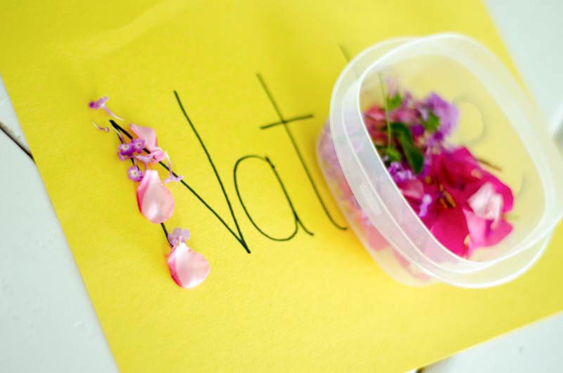Spring Preschool Activity Lesson Plans - Image 4