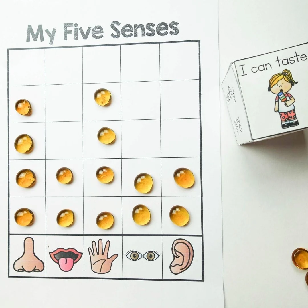 Five Senses Preschool Activity Plans - Image 10