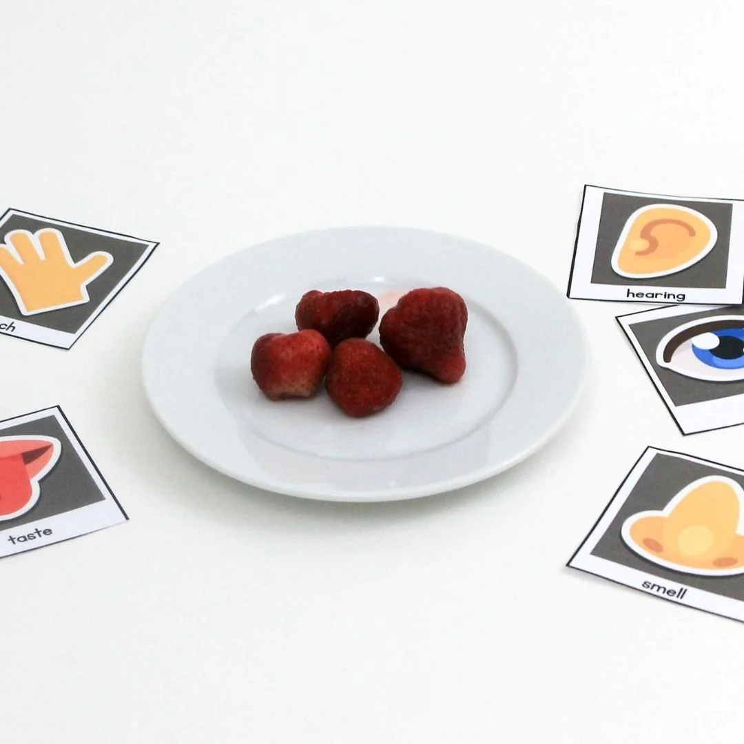 Five Senses Preschool Activity Plans - Image 8