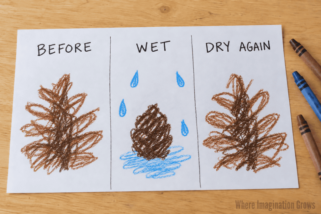 Pinecone science experiment Observation record for preschoolers