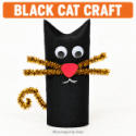 Toilet Roll Black Cat Craft